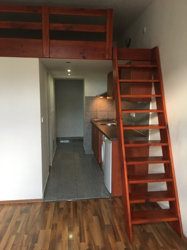 Fotka Bytu of Byty Freyova